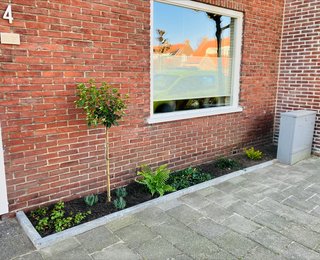 Geveltuin tegen een gevel van huis aan