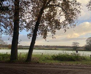 Gebied De Noenes met mooie natuur