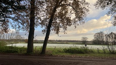 Gebied De Noenes met mooie natuur