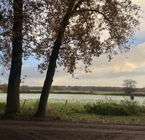 Gebied De Noenes met mooie natuur