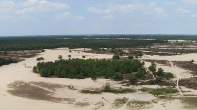 Loonse en Drunense Duinen bovenaf