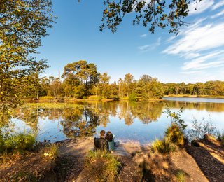Natuurfoto van Oisterwijkse bossen en vennen